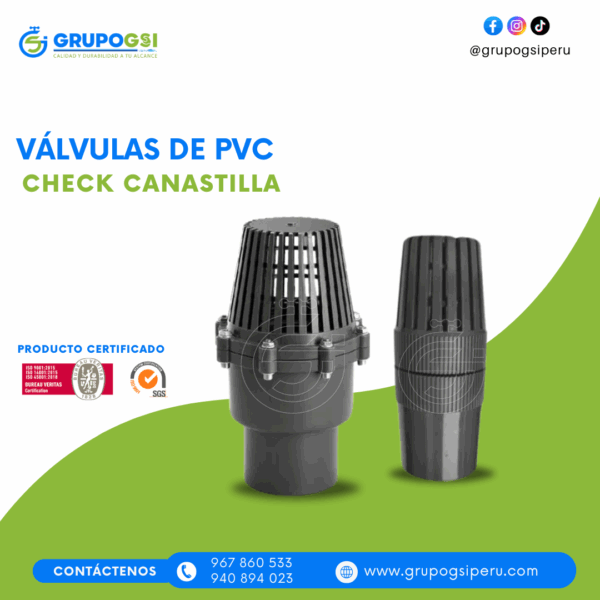 VÁLVULA CHECK CANASTILLA