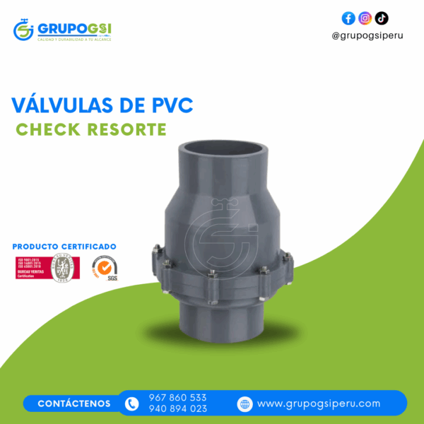 VÁLVULA CHECK RESORTE