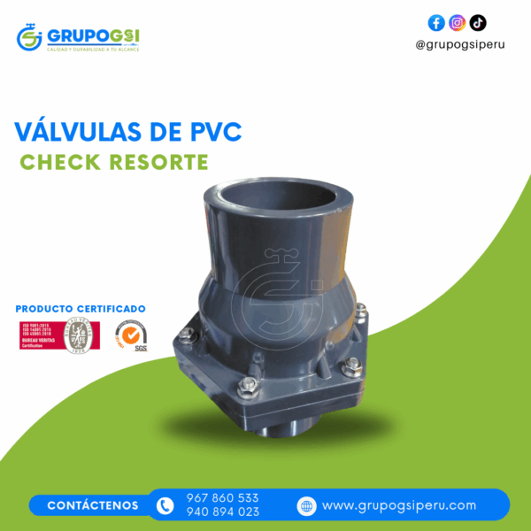 VÁLVULA CHECK RESORTE - Imagen 2